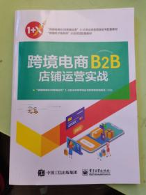 跨境电商B2B店铺运营实战（版权页缺失看清下单内页干净）