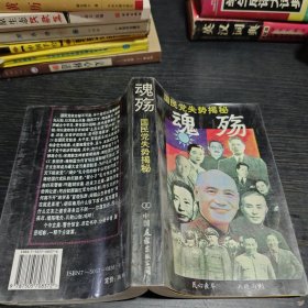魂殇 国民党失势揭秘