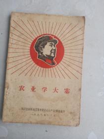 农业学大寨