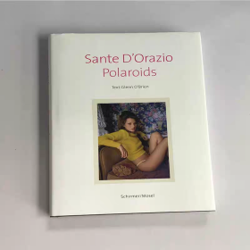 Sante D'Orazio: Polaroids 宝丽来摄影作品