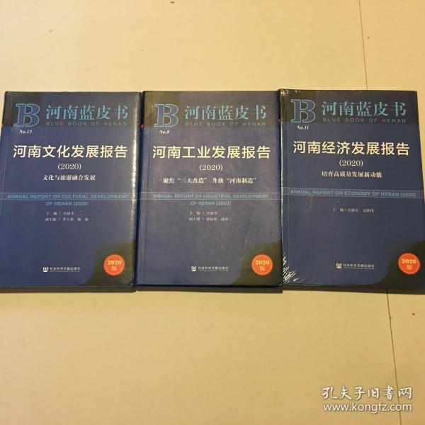 河南蓝皮书：河南文化发展报告（2020）