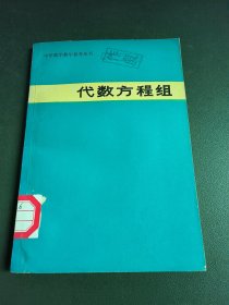 中学数学教学参考丛书：代数方程组