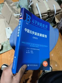 元宇宙蓝皮书：中国元宇宙发展报告（2023）
