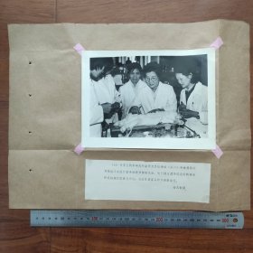 1985年，中科院发育生物学研究所研究员陆德裕（发育生物学家）