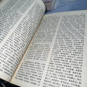 中国净土宗大全