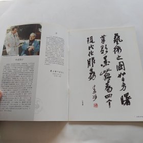 中国实力派名家十杰 沙更世作品选