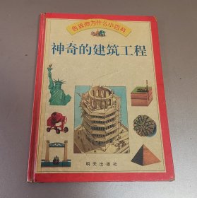 神奇的建筑工程