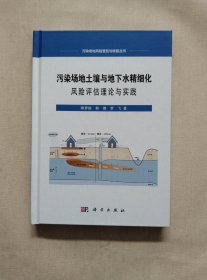 污染场地土壤与地下水精细化风险评估理论与实践