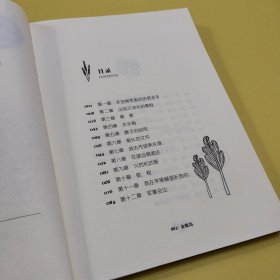 新课标经典名著 学生版/金银岛
