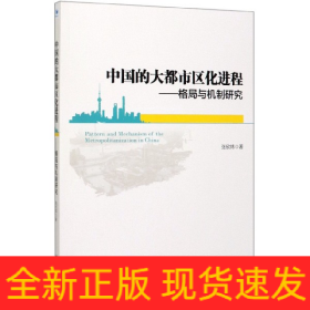 中国的大都市区化进程--格局与机制研究