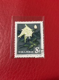 T93《月季花》信销散邮票6-3“珍珠”