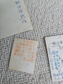 民国时期照片 5枚合售  背面有名字（上款人武汉大学生物系周凌云教授）