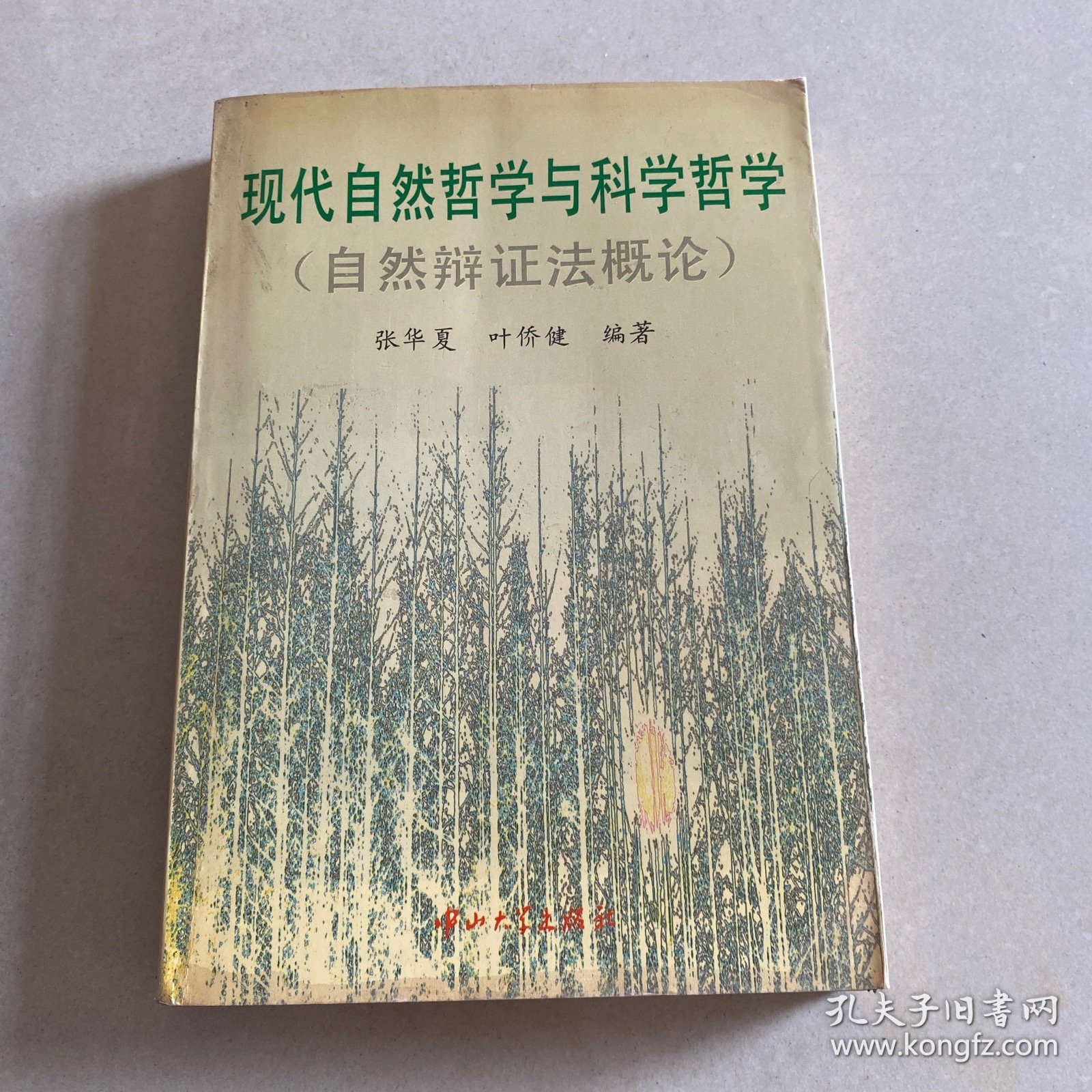现代自然哲学与科学哲学:自然辩证法概论