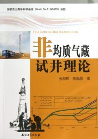 正版书非均质气藏试井理论