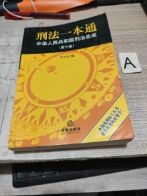 刑法一本通：中华人民共和国刑法总成（第10版）