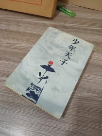 茅盾文学奖获奖作品:少年天子(精装本，一版一印)