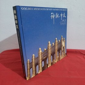 神驰中大