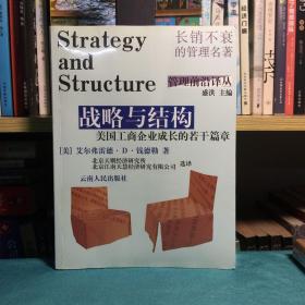 战略与结构：美国工商企业成长的若干篇章