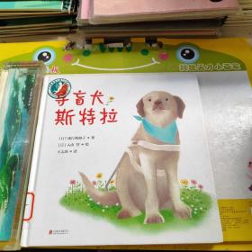 导盲犬斯特拉