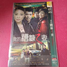 电视剧 我的糟糠之妻 2DVD