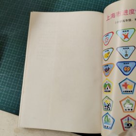 国强而自强之路--雏鹰争章研究与操作