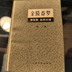 金陵春梦.第四集.血肉长城