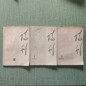 诗刊（3册）