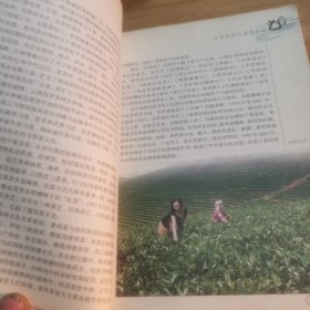 普洱茶文化大观