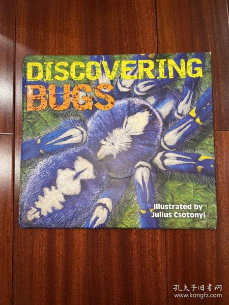 Discovering Bugs 昆虫大发现/百科书籍图书英文原版