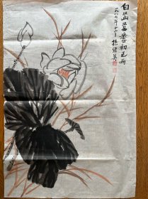 老字画 八九十年代 孙继英国画精品 初至雨 软片未裱