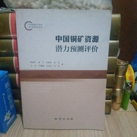 中国重要矿产资源潜力预测评价丛书：中国铜矿资源潜力预测评价