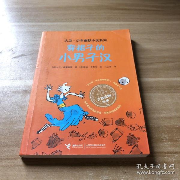 穿裙子的小男子汉：大卫·少年幽默小说系列