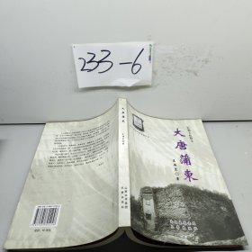 大唐蒲東