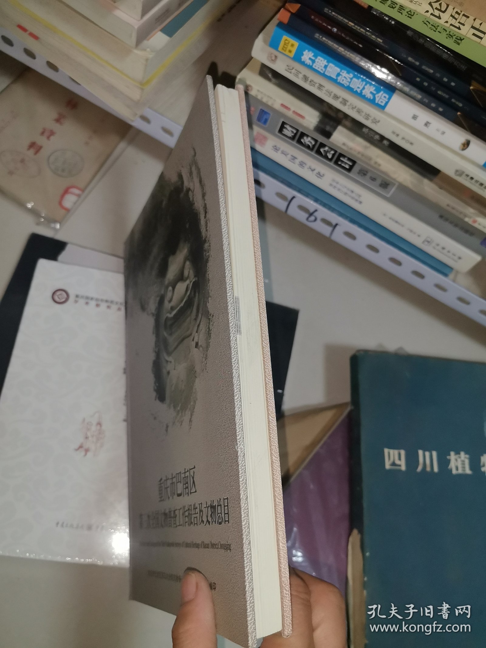 重庆市巴南区第三次全国文物普查工作报告及文物总目