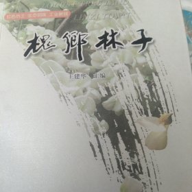槐乡林子 地方史资料
