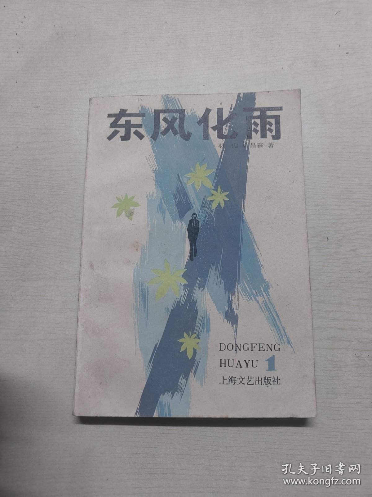 东风化雨第一部