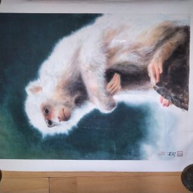 军旅画家：苏刚{猴子}50x37cm