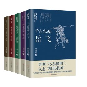 宋朝往事人物篇（岳飞·沈括·寇准·范仲淹·赵匡胤）共5册