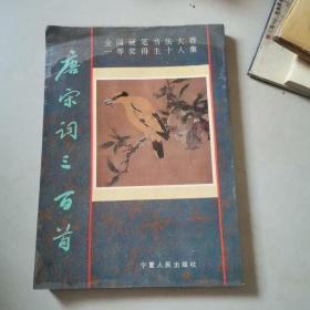 全国硬笔书法大赛一等奖得主十人集——唐宋词三百首