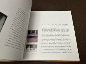 中国油画家：白羽平