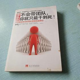 带队伍：不会带团队，你就只能干到死！：MBA最受欢迎的团队管理高级课程