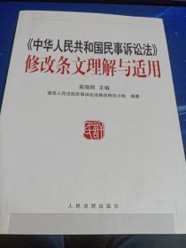 《中华人民共和国民事诉讼法》修改条文理解与适用