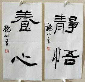 杨小立 ，中国书法家协会会员，河南省南阳市书协副秘书长，宛城区书法家协会副主席兼秘书长。男，1972年出生。 入展获奖： “青川木牍杯”首届全国隶书书法大赛中入展(四川省书协)； 2022“中国书法·年展”全国篆书、隶书、篆刻作品展前41名，获得面试考核(中书协) 第二届“四堂杯”全国书法精品大展入展… 小品两幅。保真，来自作者，17x34cm x 2，未装裱，d7619。
