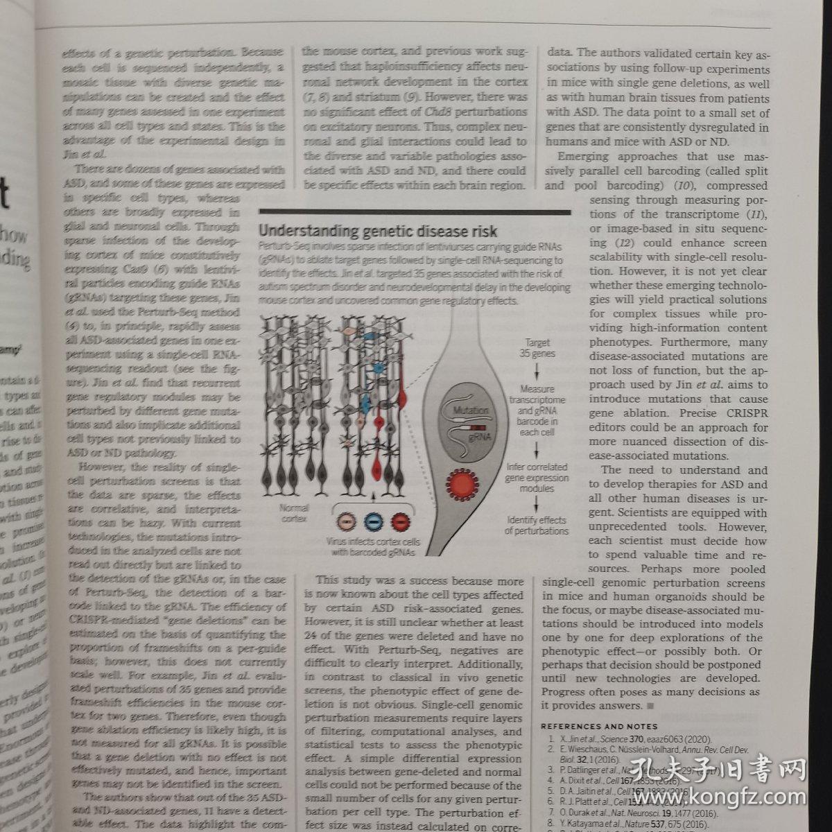 Science美国自然科学（英文原版）2020年November（11月）27  AAAS