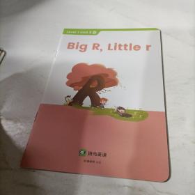 斑马   big  r  little  r