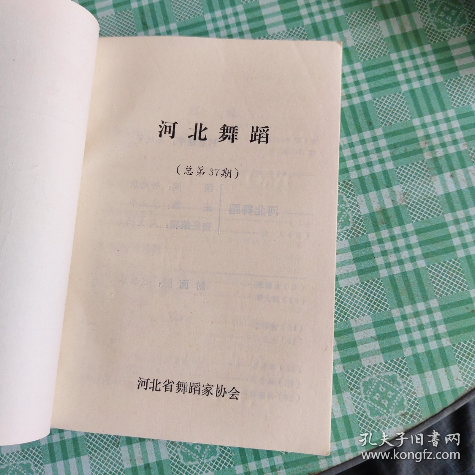 河北舞蹈，专刊，1995.1