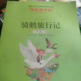 骑鹅旅行记（六年级下册名师讲解版）/“快乐读书吧”·统编小学语文教材配套阅读丛书