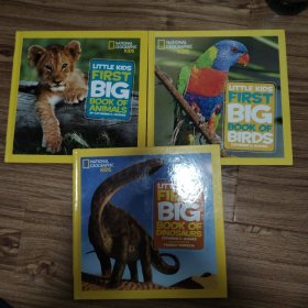 First Big Book of Animals 英文原版