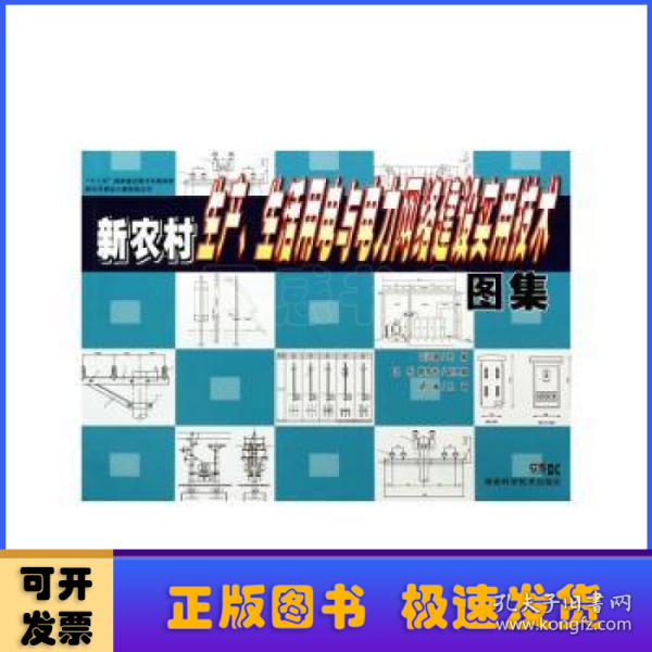 “十二五”国家重点图书出版规划新农村建设小康家园丛书：新农村生产、生活用电与电力网络建设实用技术图集