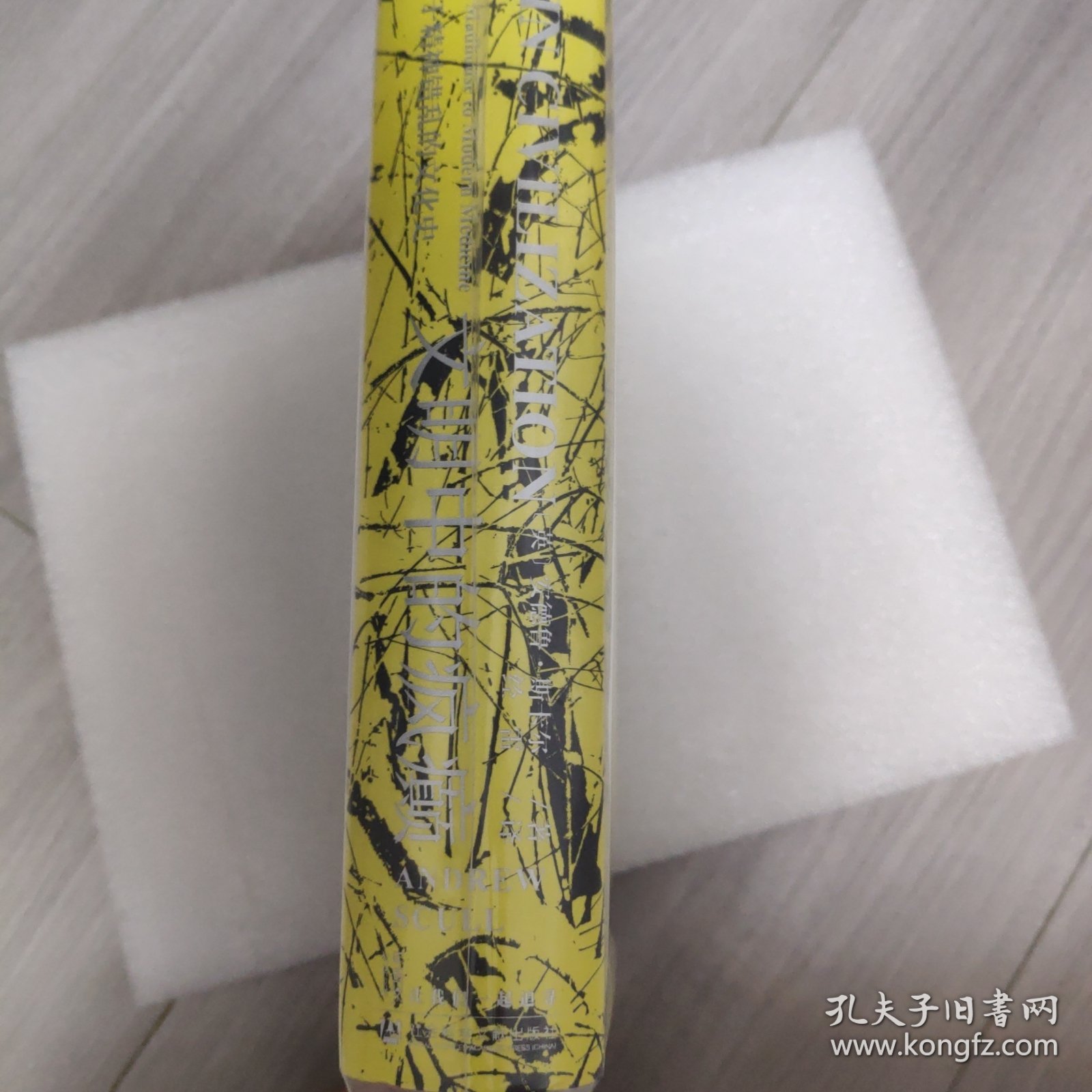 甲骨文丛书·文明中的疯癫：一部关于精神错乱的文化史